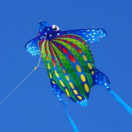 X-Kites Mini Nylon Kites Einleiner-Drachen/Kinderdrachen (1-Leiner) rtf (flugfertig) Schildkröte 45 cm bis 55 cm bunt