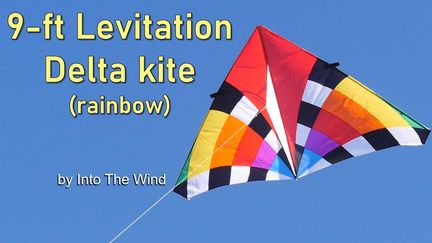 11111Into The Wind 9-ft Levitation Delta Rainbow Einleiner-Drachen (1-Leiner) rtf (flugfertig) 275 cm x 144 cm Gfk-Gestänge regenbogen
