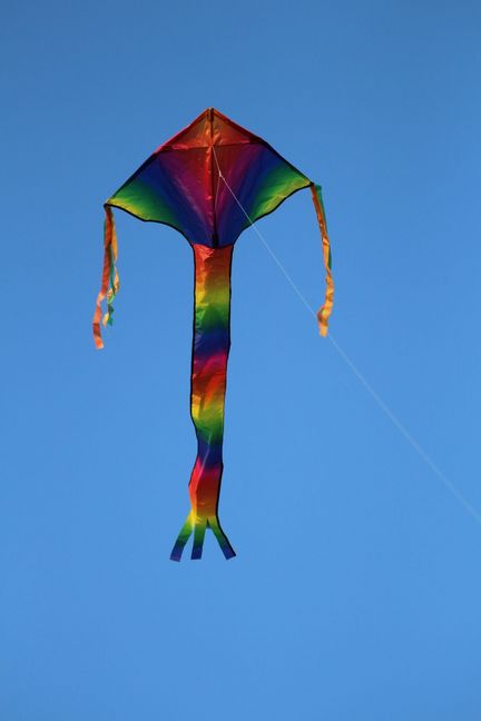 Spider Kites Breitschweif Rainbow Einleiner-Drachen/Kinderdrachen (1-Leiner) rtf (flugfertig) Breitschweif Rainbow 80 cm x 180 cm bunt