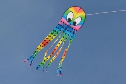 11111Spiderkites Kalle Krake Einleiner-Drachen/Kinderdrachen (1-Leiner) rtf (flugfertig) 190 cm x 50 cm Gfk-Gestänge rainbow