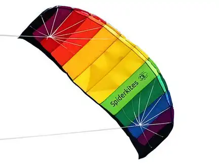 Spiderkites Amigo 1.75  Zweileiner-Lenkdrachen (Lenkmatte/Parafoil/2-Leiner) rtf (flugfertig) 175 cm x 61 cm rainbow