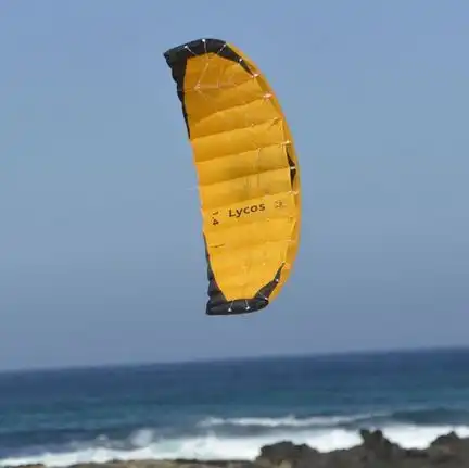 Spiderkites Lycos PS 1.4  Zweileiner-Lenkdrachen (Lenkmatte/Parafoil/2-Leiner) KITE ONLY 140 cm x 45 cm orange/schwarz