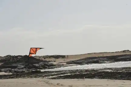 Spiderkites Gangsta - Zweileiner-Lenkdrachen/Stabdrachen (2-Leiner) rtf (flugfertig) 178 cm x 72 cm Gfk-Gestänge schwarz/orange