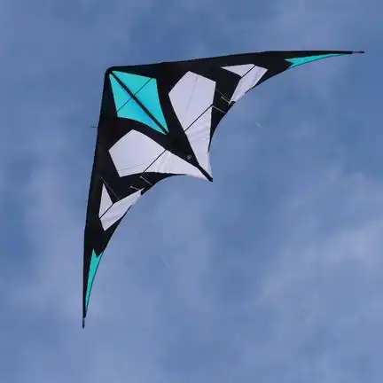 Spiderkites Maraca light - Zweileiner-Lenkdrachen/Stabdrachen/Trickdrachen (2-Leiner) rtf - 200 cm x 87 cm 4 + 5  mm CFK-Gestänge emerald