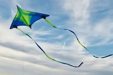 Spiderkites Concord Delta Einleiner-Lenkdrachen (1-Leiner) rtf (flugfertig) 223 cm / 150 cm blau
