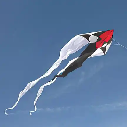 Spiderkites Flux Delta black & white Einleiner-Lenkdrachen (1-Leiner) rtf (flugfertig) 200 cm x 600 cm Gfk-Gestänge schwarz/weiß