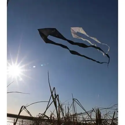 Spiderkites Pyro Delta White Einleiner-Lenkdrachen (1-Leiner) rtf (flugfertig) 180 cm x 690 cm Gfk-Gestänge weiß