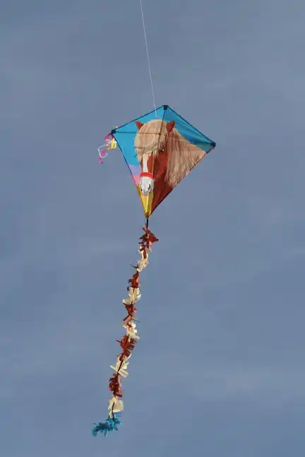 Spiderkites - Einleiner-Drachen/Kinderdrachen (Eddy/1-Leiner) rtf (flugfertig) Pferd Blika 75 cm x 75 cm bunt