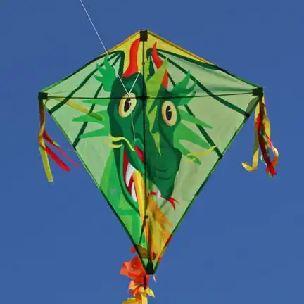 Spiderkites - Einleiner-Drachen/Kinderdrachen (Eddy/1-Leiner) rtf (flugfertig) Herman 75 cm x 75 cm bunt