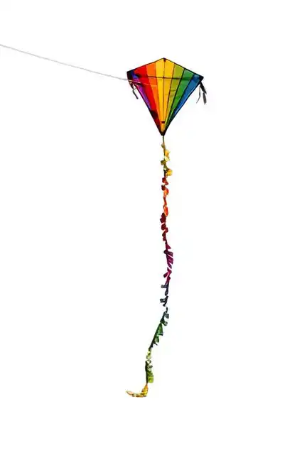 11111Spiderkites - Einleiner-Drachen/Kinderdrachen (Eddy/1-Leiner) rtf (flugfertig) Eddy Rainbow 75 cm x 75 cm bunt