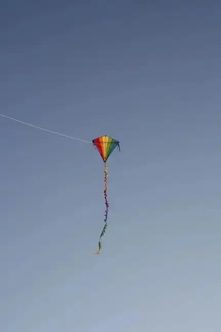 Spiderkites - Einleiner-Drachen/Kinderdrachen (Eddy/1-Leiner) rtf (flugfertig) Eddy Rainbow 75 cm x 75 cm bunt