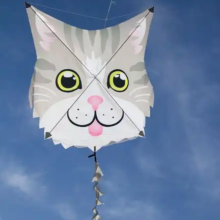 11111Premier Kites Gray Cat - Fun Flyer Einleiner-Drachen (1-Leiner) rtf - 62.5 cm x 62.5 cm Gfk-Gestänge grau