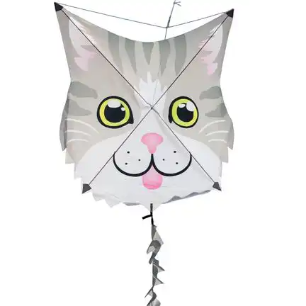 11111Premier Kites Gray Cat - Fun Flyer Einleiner-Drachen (1-Leiner) rtf - 62.5 cm x 62.5 cm Gfk-Gestänge grau