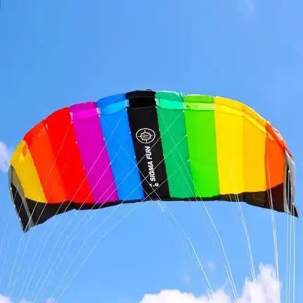 Elliot Sigma Fun 1.6  Zweileiner-Lenkdrachen (Lenkmatte/Parafoil/2-Leiner) rtf (flugfertig) 165 cm x 54 cm rainbow