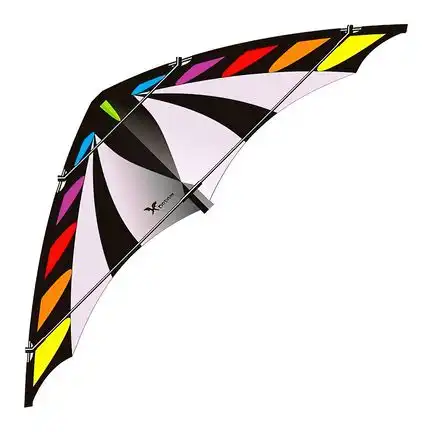 Elliot X-Dream Zweileiner-Lenkdrachen/Stabdrachen (2-Leiner) rtf (flugfertig) 180 cm x 61 cm 5 mm Cfk-Gestänge rainbow/schwarz/grau