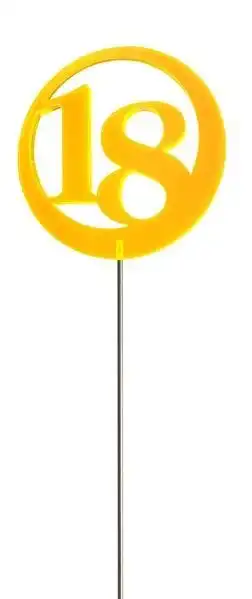 Sonnenfänger Lichtzauber - Jubiläumszahl/Jahreszahl "18" rot 6 cm inkl. 25 cm Stab