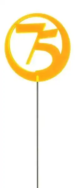Sonnenfänger Lichtzauber - Jubiläumszahl/Jahreszahl "75" orange 6 cm inkl. 25 cm Stab