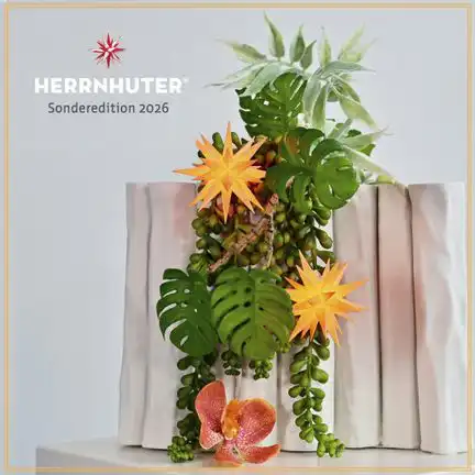 Herrnhuter Stern A1 Ø 8 cm Kunststoffstern inkl. LED - apricot - Sonderedition 2026  Wunderschöner und sehr hochwertiger Weihnachtsstern für Innen und Außen - das Original mit 25 Zacken