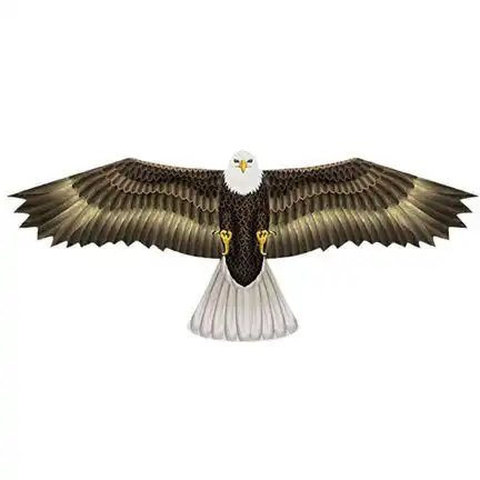 WindNSun 3D-Einleiner-Drachen/Kinderdrachen (1-Leiner) rtf (flugfertig) Eagle 193 cm x 188 cm Polyestertuch mit Druck Gfk-Gestänge bunt