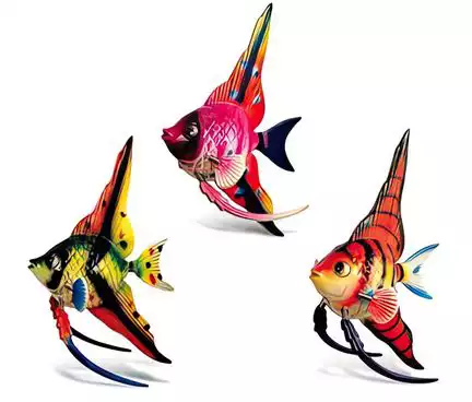 Wackel-Magnete (3D-Motiv) Diskusfisch/Angelfish High Fin Ocean Life 