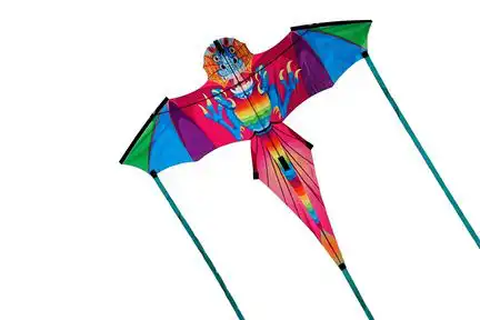Spiderkites Drache Wilma Einleiner-Drachen/Kinderdrachen (1-Leiner) rtf (flugfertig) 140 cm x 118 cm Gfk-Gestänge bunt