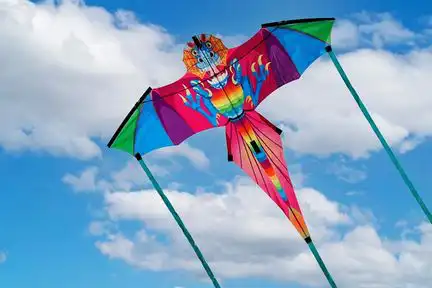 Spiderkites Drache Wilma Einleiner-Drachen/Kinderdrachen (1-Leiner) rtf (flugfertig) 140 cm x 118 cm Gfk-Gestänge bunt