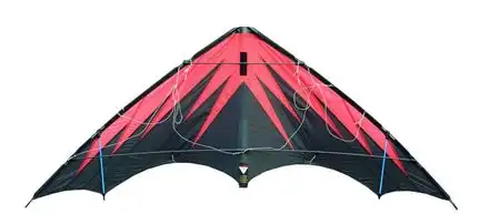 Elliot Gladiator 2.4 - Zweileiner-Power-Lenkdrachen/Stabdrachen (2-Leiner) rtf (flugfertig) 245 cm x 95 cm Cfk-Rohr 8/10 mm schwarz/rot