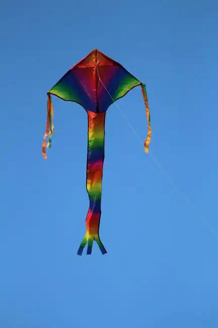 Spider Kites Breitschweif Rainbow Einleiner-Drachen/Kinderdrachen (1-Leiner) rtf (flugfertig) Breitschweif Rainbow 80 cm x 180 cm bunt