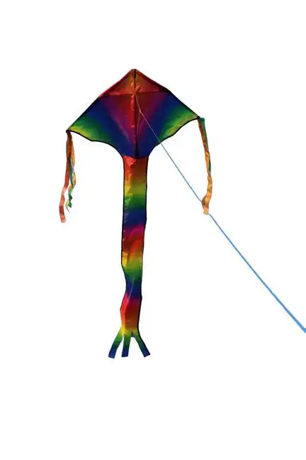 Spider Kites Breitschweif Rainbow Einleiner-Drachen/Kinderdrachen (1-Leiner) rtf (flugfertig) Breitschweif Rainbow 80 cm x 180 cm bunt