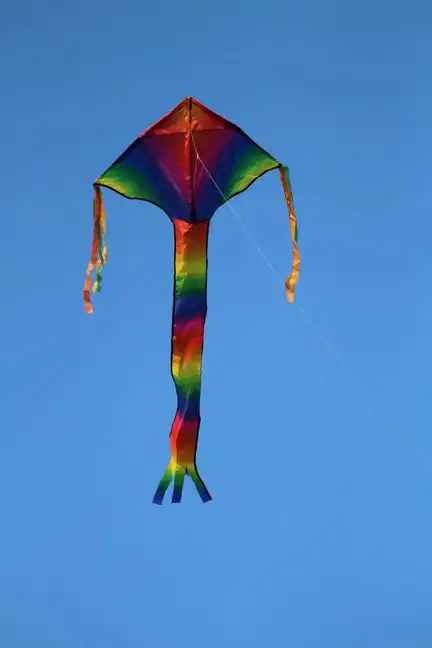 Spider Kites Breitschweif Rainbow Einleiner-Drachen/Kinderdrachen (1-Leiner) rtf (flugfertig) Breitschweif Rainbow 80 cm x 180 cm bunt