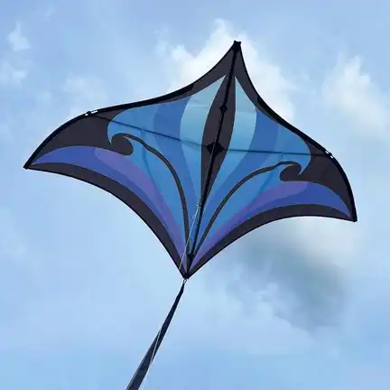 Spiderkites Robert Brasington Swift Delta Einleiner-Lenkdrachen (1-Leiner) rtf (flugfertig) 160 cm x 96 cm Gfk-Gestänge purple/blue