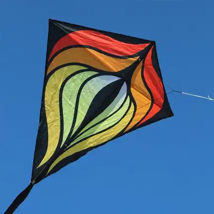 Spiderkites Brasington Diamond Designer-Eddy (1-Leiner) rtf (flugfertig) 110 cm x 110 cm Gfk-Gestänge bunt
