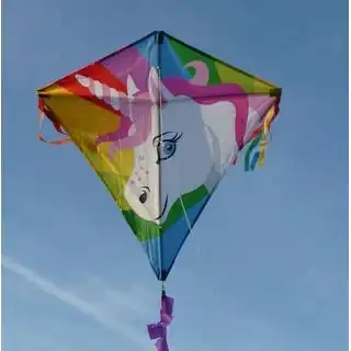 Spiderkites - Einleiner-Drachen/Kinderdrachen (Eddy/1-Leiner) rtf (flugfertig) Einhorn Drache 75 cm x 75 cm bunt