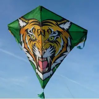 Spiderkites - Einleiner-Drachen/Kinderdrachen (Eddy/1-Leiner) rtf (flugfertig) Tiger 75 cm x 75 cm bunt