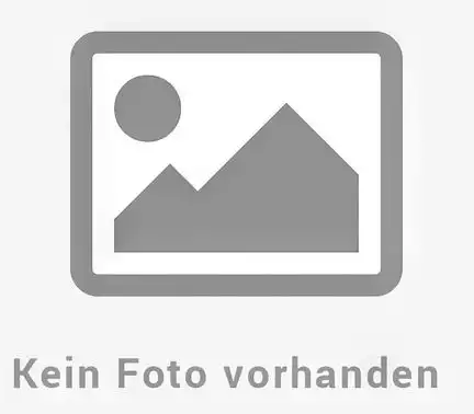 11111Premier Kites Fledermaus - Flapping Bat Kite Einleiner-Drachen (1-Leiner) KITE ONLY - 345 cm x 119 cm schwarz