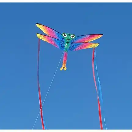 Spider Kites Lilly Libelle Einleiner-Drachen/Kinderdrachen (1-Leiner) rtf (flugfertig) Lilly Libelle 88 cm x 60 cm bunt