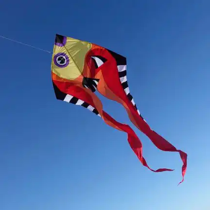 Spiderkites Pyro Delta Fisch Einleiner-Drachen/Kinderdrachen (1-Leiner) rtf (flugfertig) 270 cm x 860 cm Gfk-Gestänge bunt