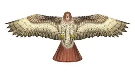 X-Kites Birds of Prey - Einleiner-Drachen/Kinderdrachen (1-Leiner) rtf (flugfertig) Bussard 50 cm x 122 cm braun/weiß