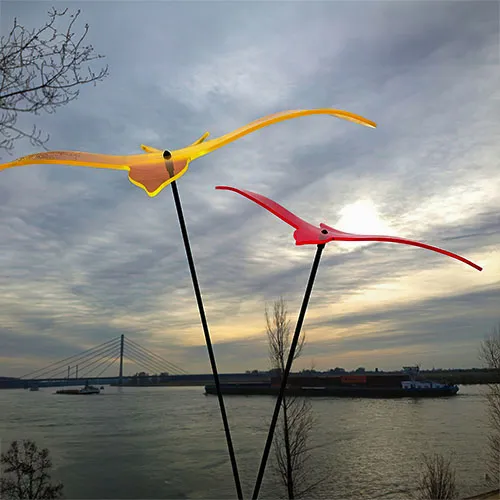 Lichtzauber und Sonnenfänger