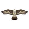 x_kites_birdsofprey_falcon_8-43258-80892-5.jpg