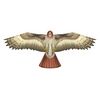 x_kites_birdsofprey_hawk_8-43258-80893-2.jpg