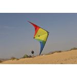 Spiderkites Buddy - Zweileiner-Lenkdrachen/Stabdrachen (2-Leiner) rtf 