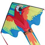 Premier Kites Delta Large Easy Flyer Kite - 