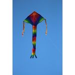 Spider Kites Breitschweif Rainbow Einleiner-Drachen/Kinderdrachen 