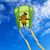 Elliot-Maus-Pocket-Kite-gruen-Mood-web.jpg