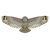 x_kites_birdsofprey_owl_8-43258-80894-9.jpg